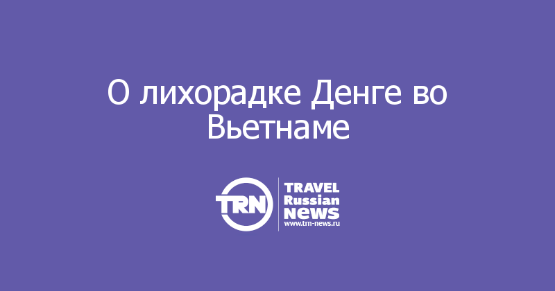 О лихорадке Денге во Вьетнаме 