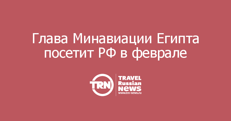 Глава Минавиации Египта посетит РФ в феврале 