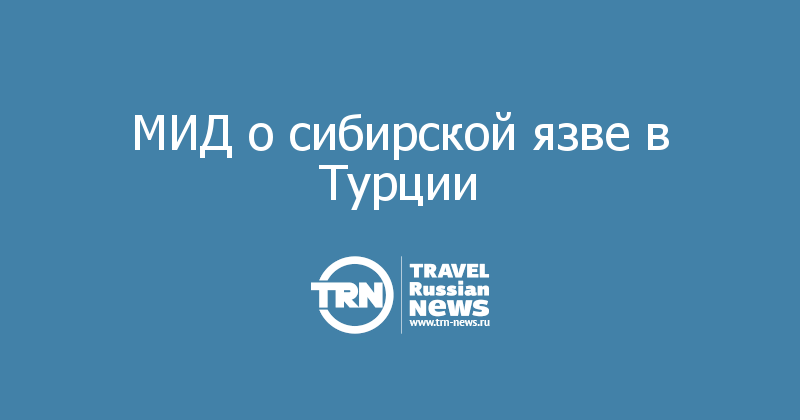 МИД о сибирской язве в Турции 