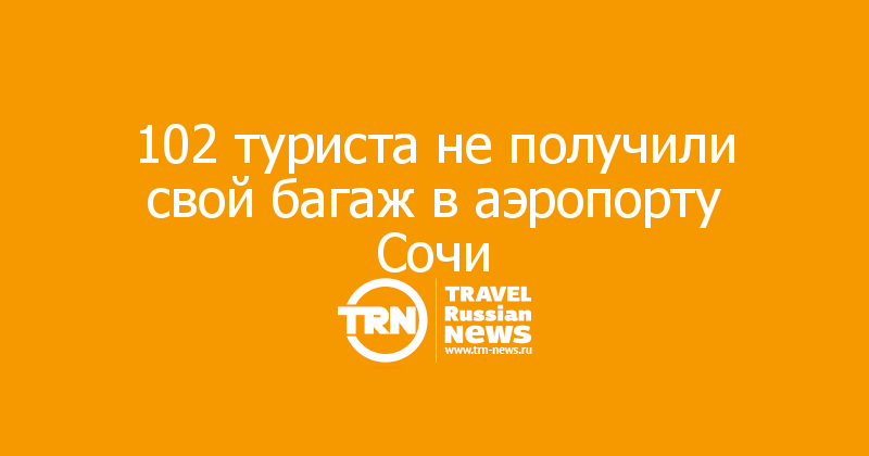 102 туриста не получили свой багаж в аэропорту Сочи