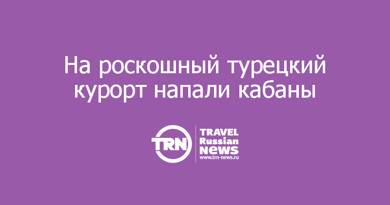 На роскошный турецкий курорт напали кабаны    