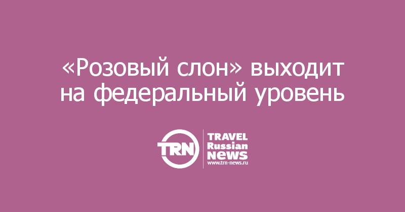 «Розовый слон» выходит на федеральный уровень 