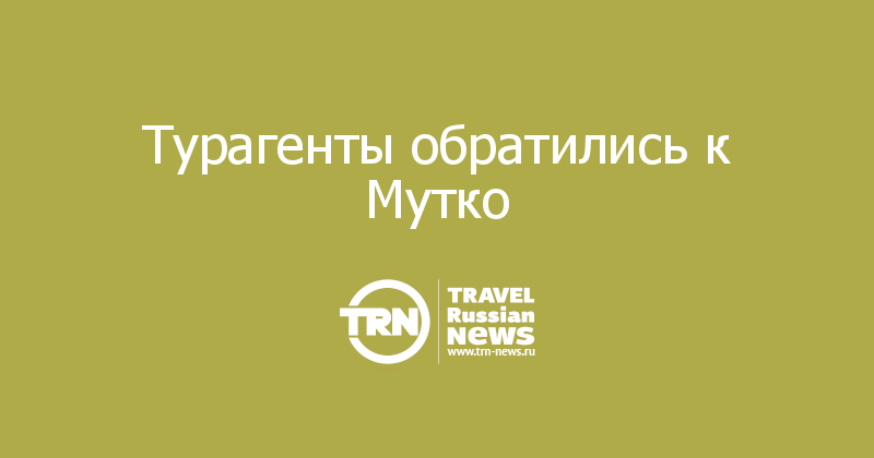 Турагенты обратились к Мутко 