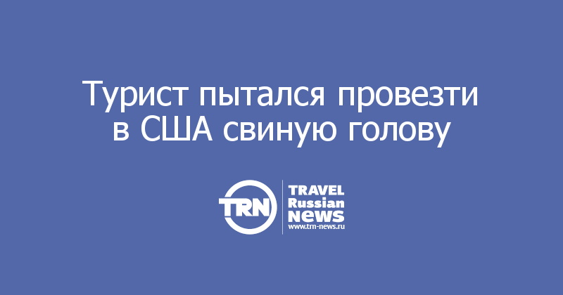 Турист пытался провезти в США свиную голову