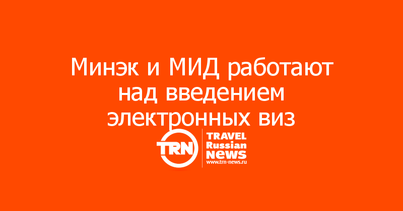 Минэк и МИД работают над введением электронных виз