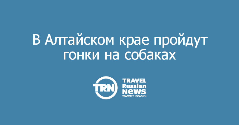 В Алтайском крае пройдут гонки на собаках