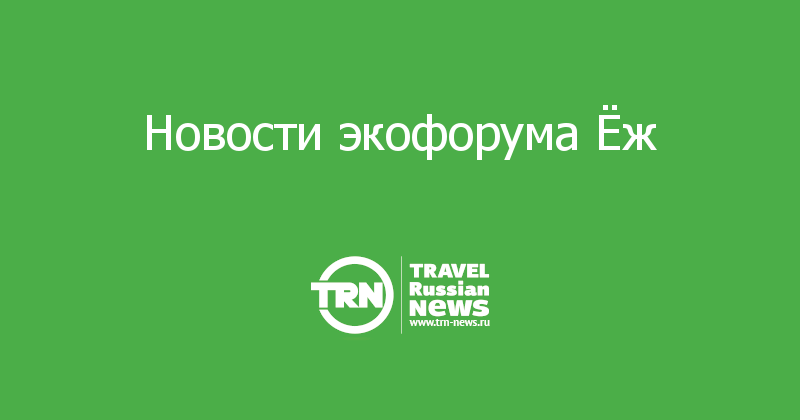 Новости экофорума Ёж