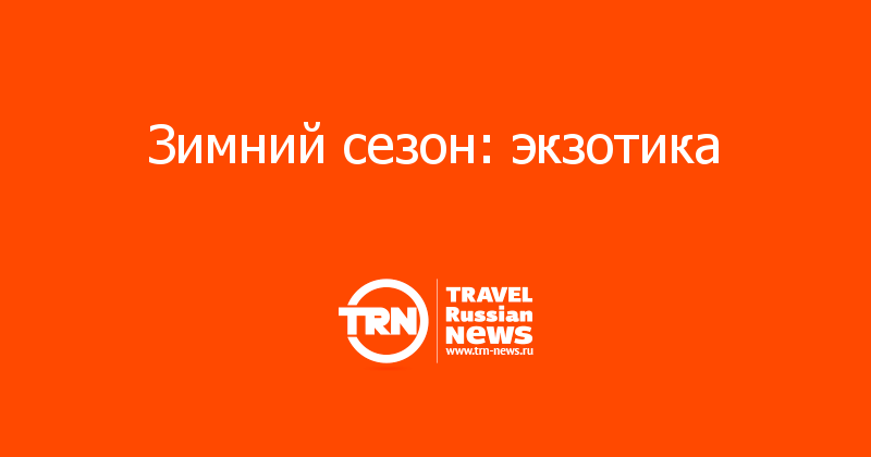 Зимний сезон: экзотика