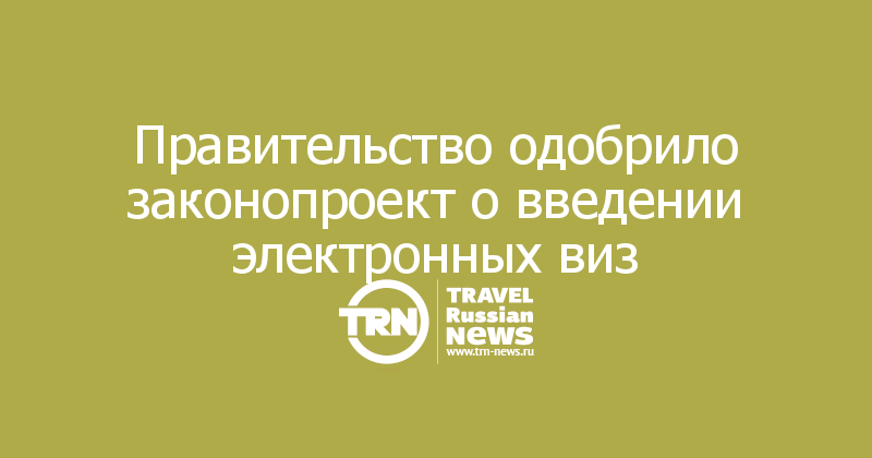 Правительство одобрило законопроект о введении электронных виз 
