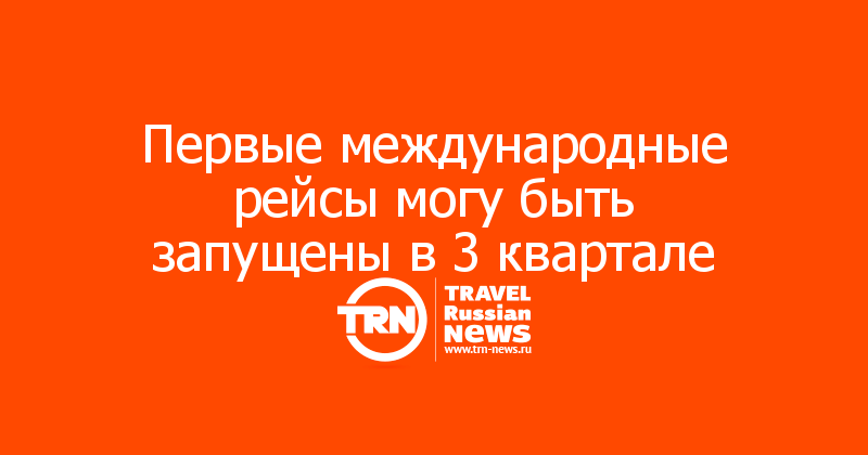 Первые международные рейсы могу быть запущены в 3 квартале 